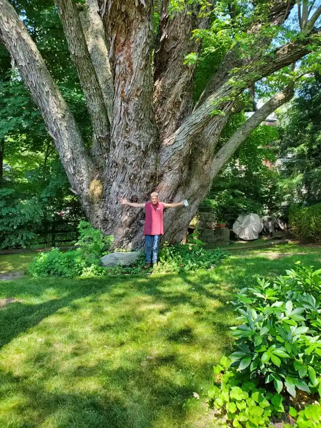 Professional Well Pump Installation